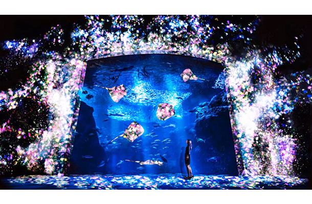 えのすい×チームラボ ナイトワンダーアクアリウム2015／「花と魚- 相模湾大水槽」
