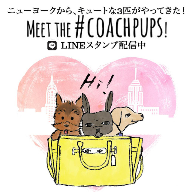 キャンペーンに登場したセレブ犬をモチーフにしたイラストのLINEスタンプを配信