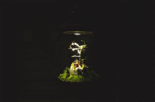 ＜Re:planter＞LED植物・Space Colony（6万円～）