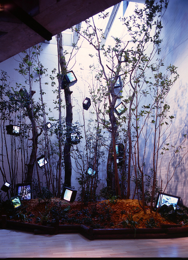 ケージの森/森の啓示／ 1993 ／植物、モニター20台、映像3チャンネル、再生機3台、ステレオ1組／554×465×800cm