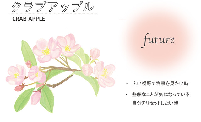 新たなスタートに勇気をくれるフラワーエッセンス Vol 3 フラワーエッセンス Beauty Fashion Headline