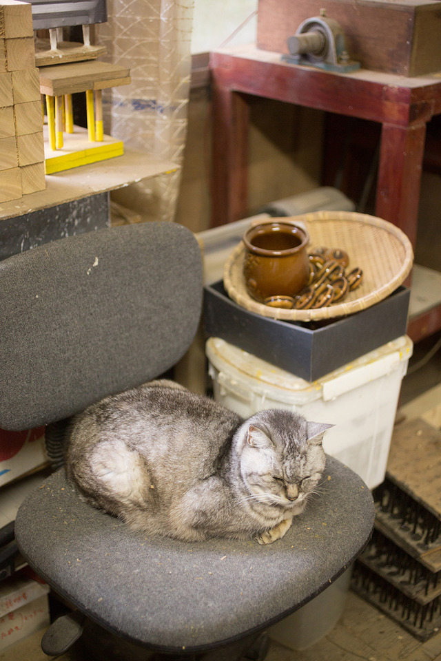 「彦一こま」のアトリエにて。猫と一緒に作業をしている井芹さん