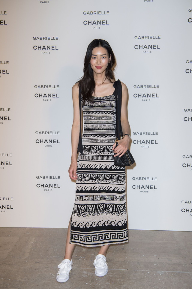 Liu Wen