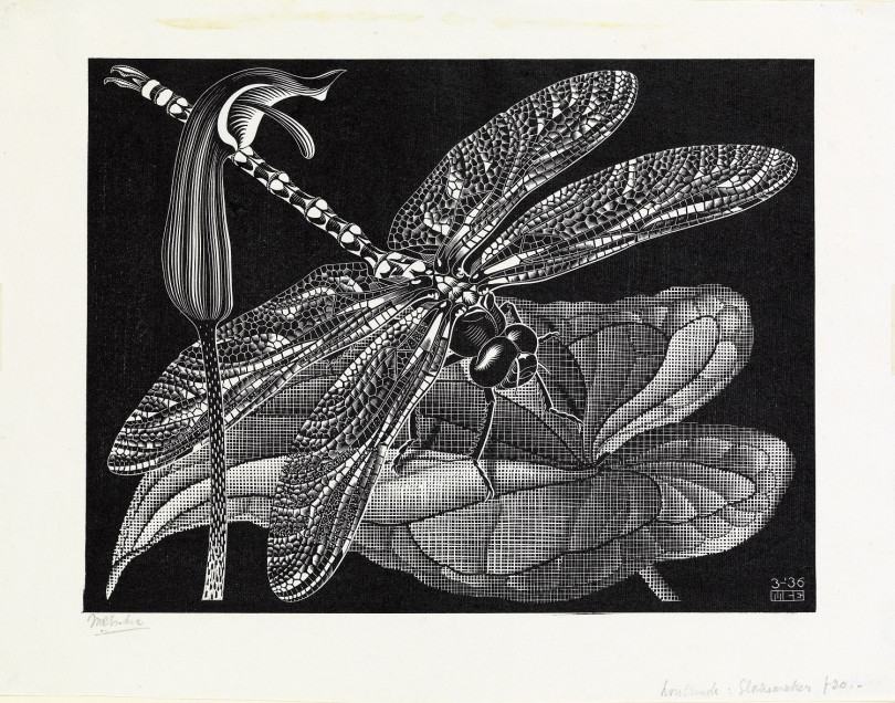 《トンボ》 1936年 All M.C. Escher works