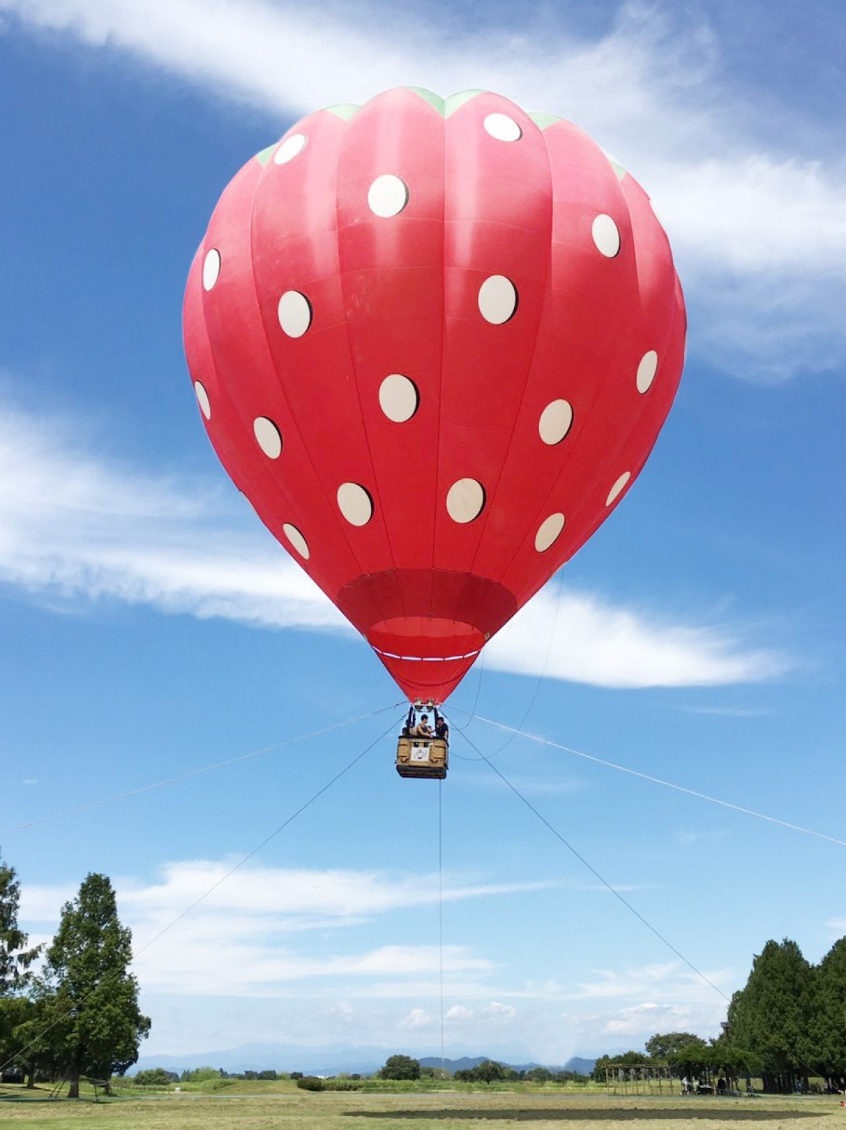 開館15周年記念 熱気球搭乗体験