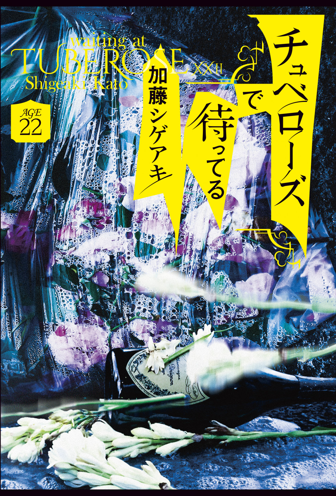 加藤シゲアキ/著『チュベローズで待ってる』（AGE22）