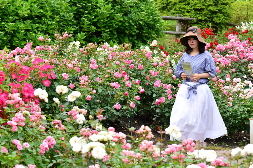 神戸・六甲山で「初夏の花めぐり ROKKO フォトグラフィックガーデン」を、5月11日から7月31日まで初開催