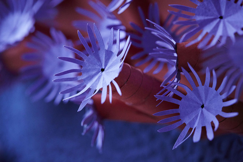 Reef Color Paper A breathtakingly beautiful colored paper coral reef. Paper art ...