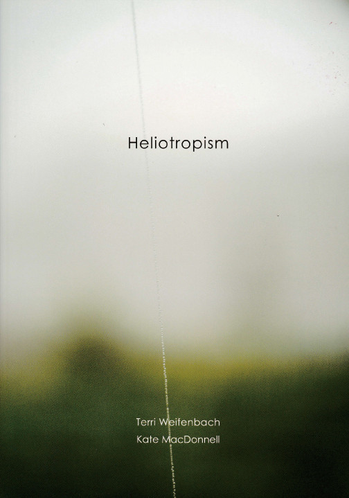『Heliotropism』Terri Weifenbach / Kate MacDonnell