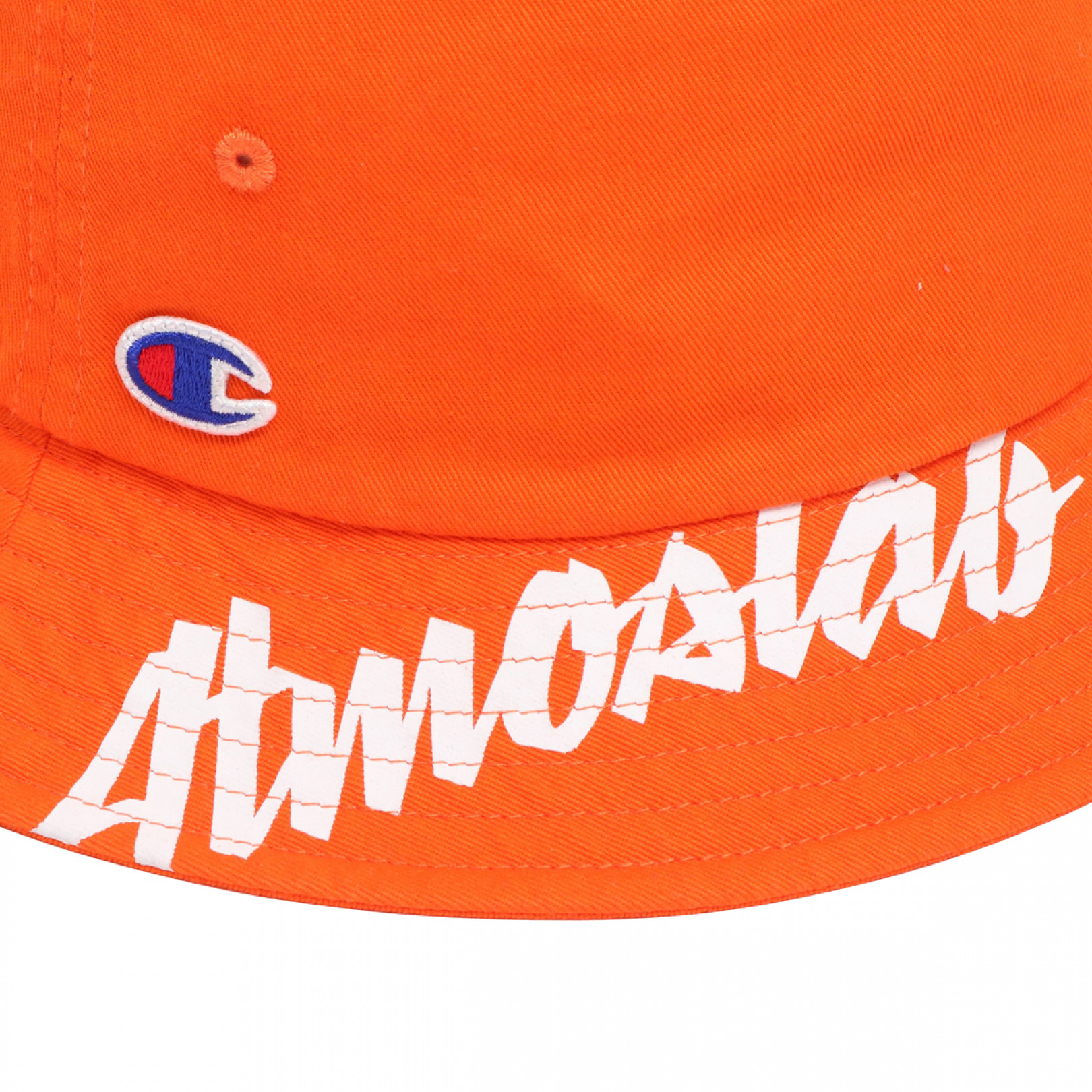 Champion x Atmos Lab releases first collaboration item | PHOTO(229/229 ...