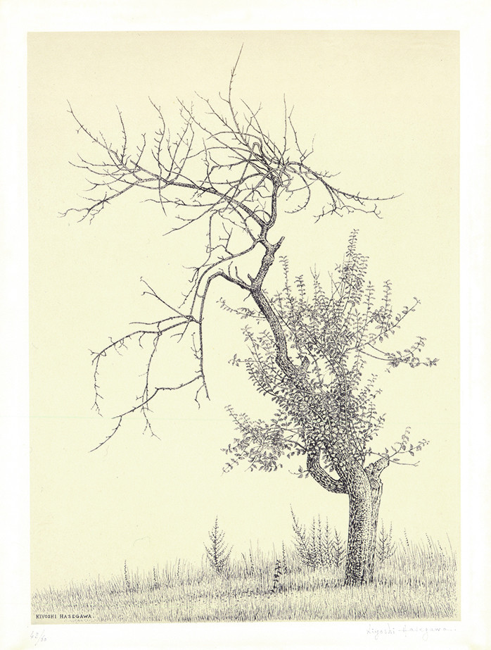 長谷川潔《林檎樹》1956年 横浜美術館
