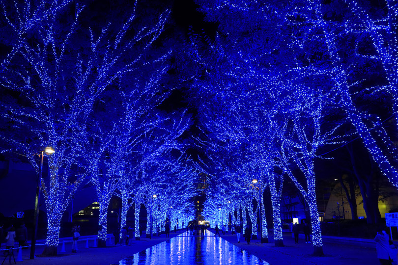 イルミネーションイベント「青の洞窟 SHIBUYA」が11月30日より渋谷公園通りから代々木公園ケヤキ並木にて開催