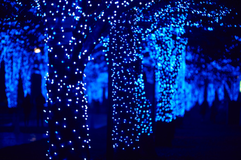 【更新】イルミネーションイベント「青の洞窟 SHIBUYA」、クリスマス期間中にはピアノの生演奏で更にロマンティックな空間に
