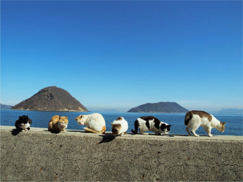 佐柳島、香川県仲多度郡