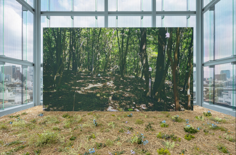 《アニミタス(ささやきの森)》、日本 2016年  展示風景、エスパス ルイ・ヴィトン東京、2019年 フルHDビデオ、カラー、音声 12時間52分21秒