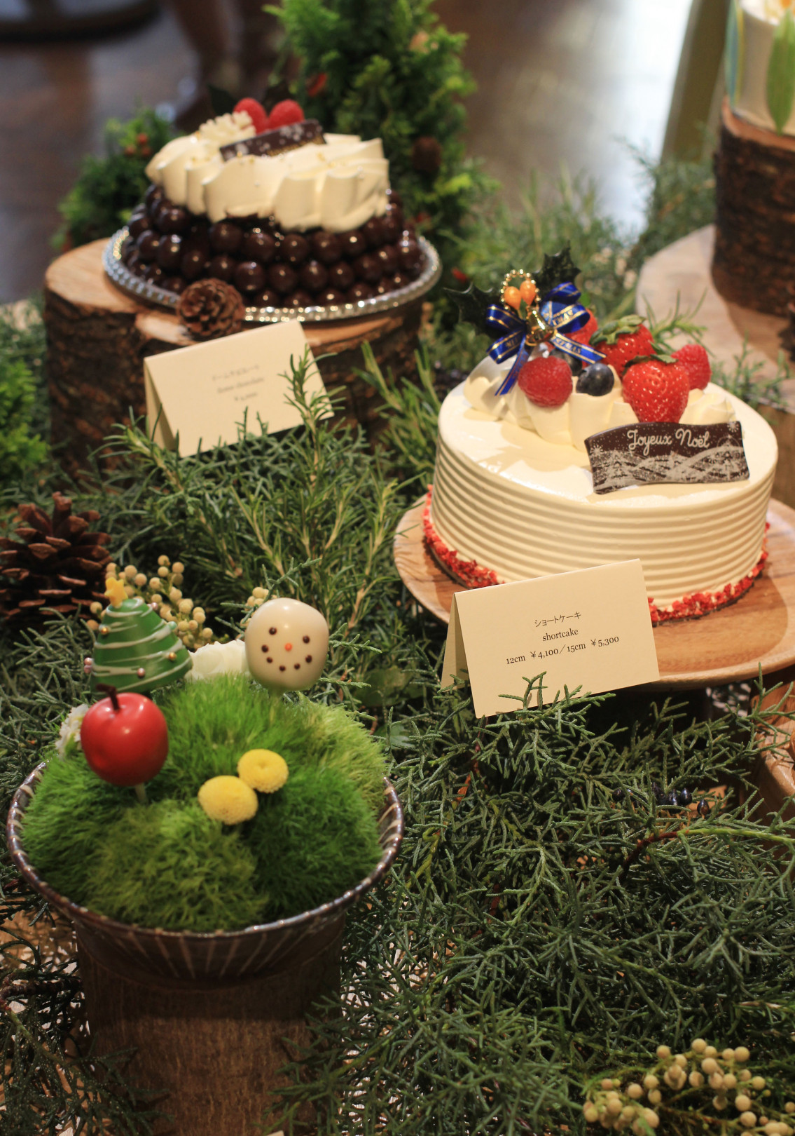 見た目 可愛い 味 サプライズ アンダーズ 東京のクリスマスケーキ 19年クリスマスケーキ Photo 7 37 Fashion Headline