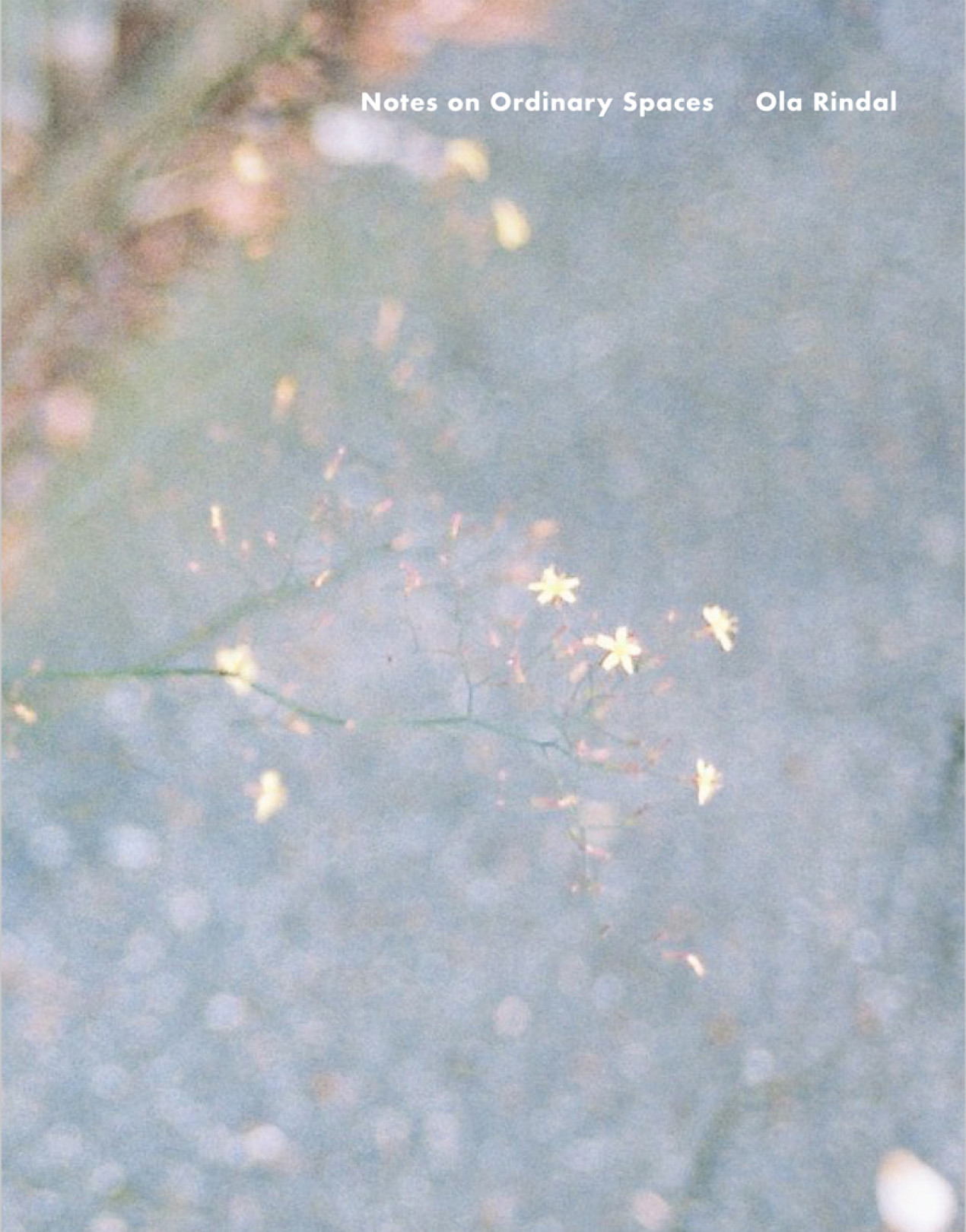 『Notes on Ordinary Spaces』Ola Rindal