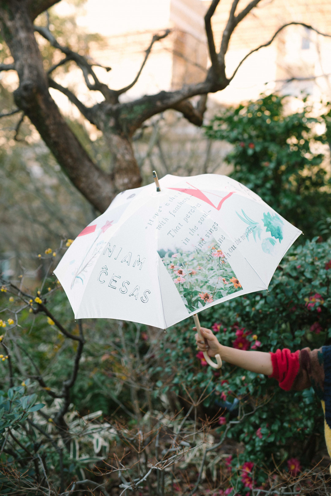 OUR FAVOURITE SHOPのひなまつり “希望”と可能性の日傘