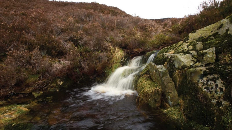 蒸留所の背後に聳え立つスコットランド最高峰のベンリネス山から湧き出る清廉な湧き水